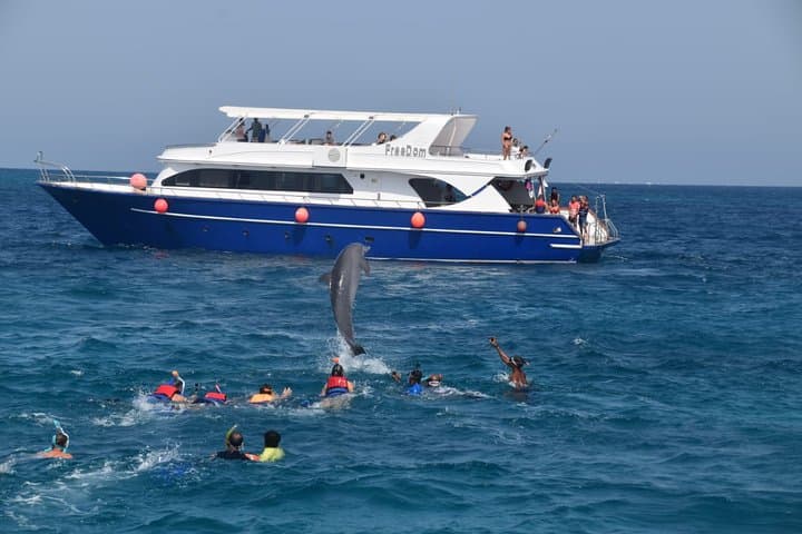 Dolphin House thumbnail 3