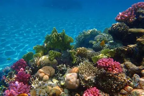 Majawish Island thumbnail 6