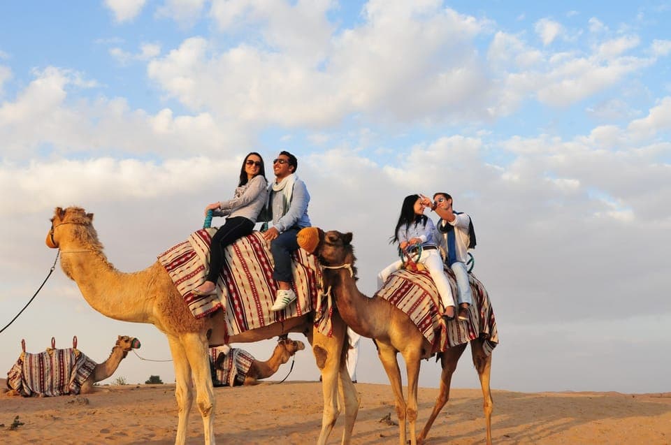 Camel riding trip