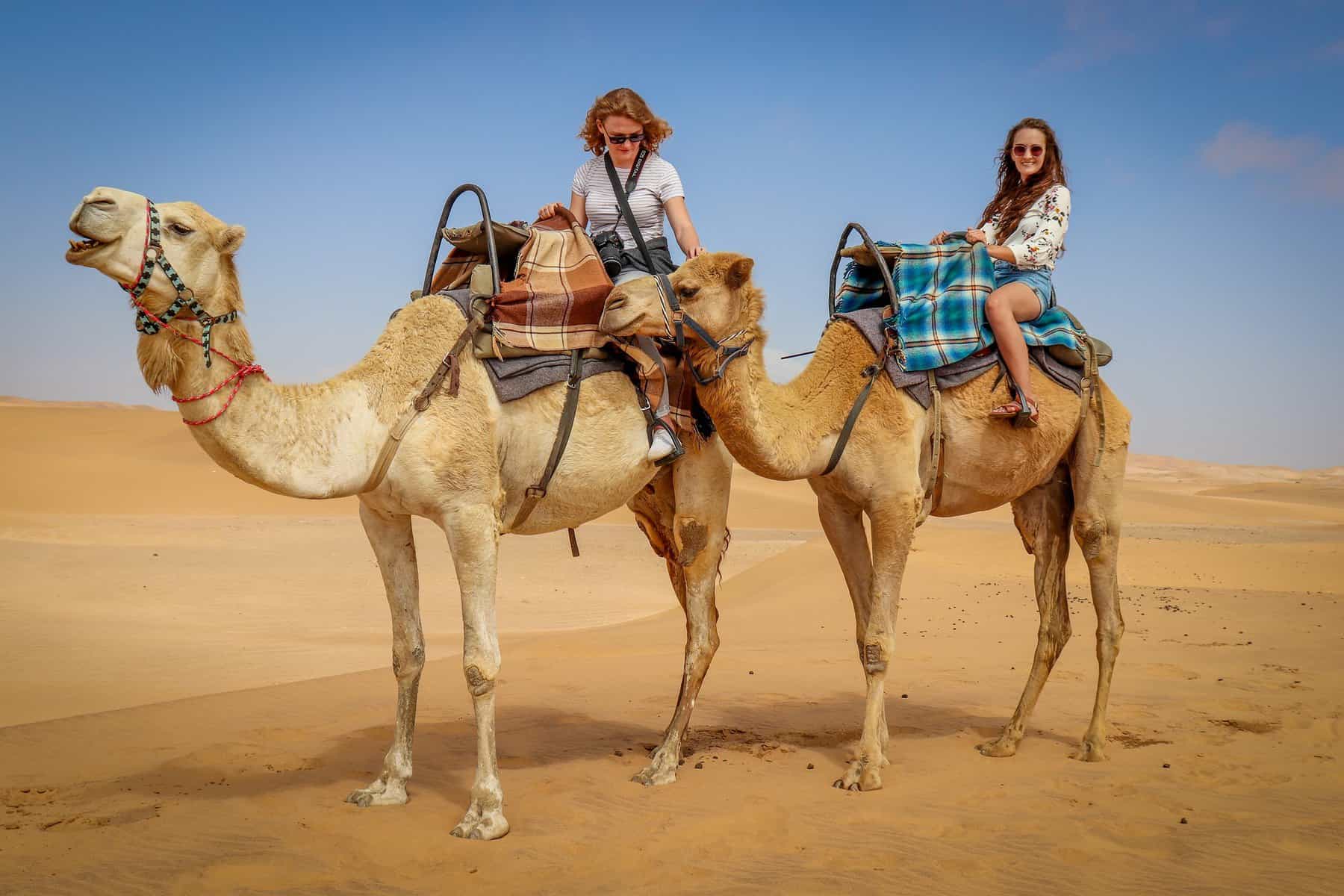 Camel riding trip thumbnail 3